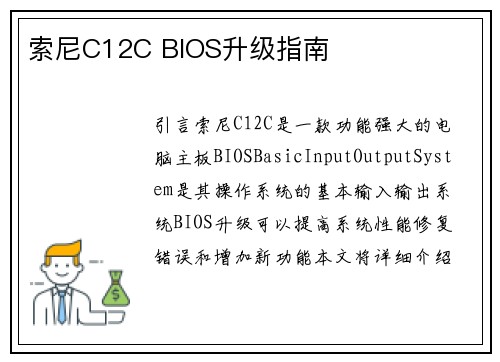 索尼C12C BIOS升级指南
